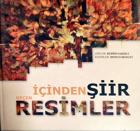 İçinden Şiir Geçen Resimler - Книги