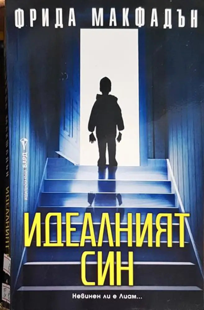 Идеалният син - Книги