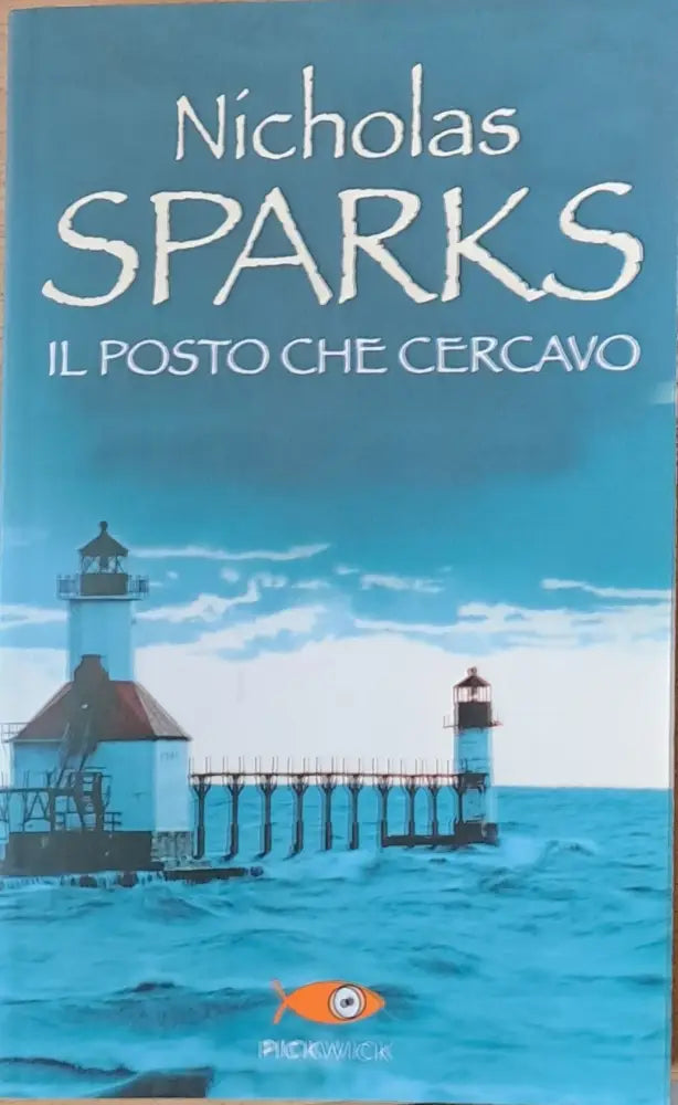Il Posto che Cercavo - Книги