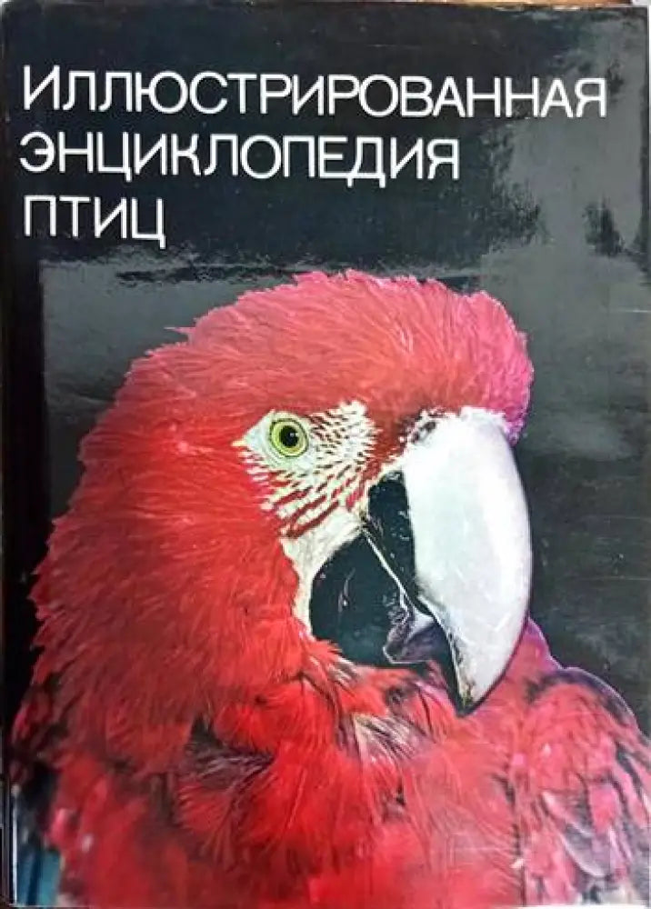 Иллюстрированная энциклопедия птиц - Книги