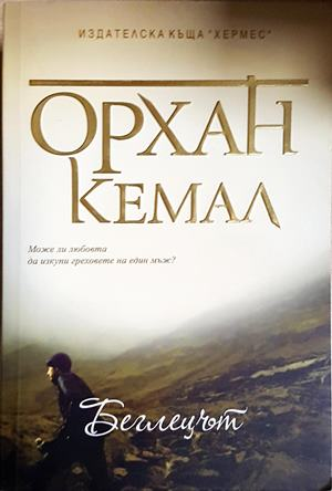 Беглецът (4035)