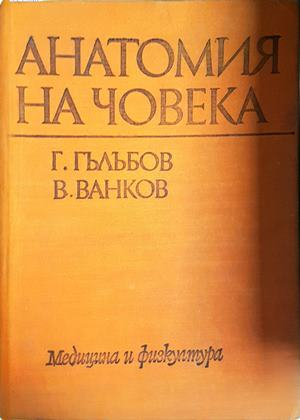 Анатомия на човека - Гълъбов, Ванков