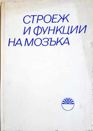 Строеж и функции на мозъка - корица