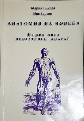 Анатомия на човека. Част 1. Двигателен апарат