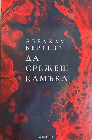 Да срежеш камъка - Абрахам Вергезе