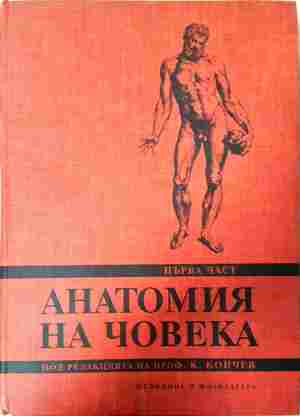 Анатомия на човека - Част 1