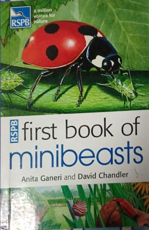 RSPB First Book of Minibeasts – корица