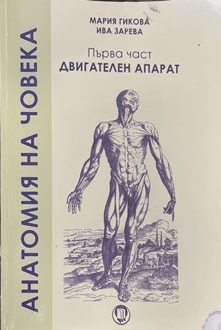 Анатомия на човека Част 1 - Гикова, Зарева