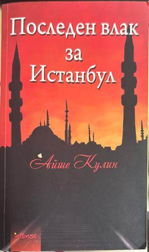 Последен влак за Истанбул - Айше Кулин