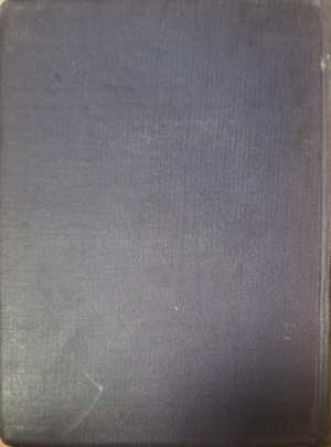 Das Neue Dschungelbuch (1191)
