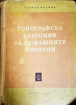 Топографска анатомия на домашните животни — Стефан Иванов (1832)