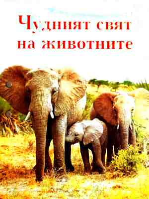 Чудният свят на животните