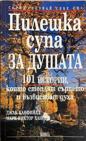 Пилешка супа за душата