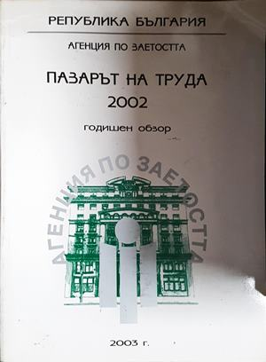 Пазарът на труда 2002: Годишен обзор