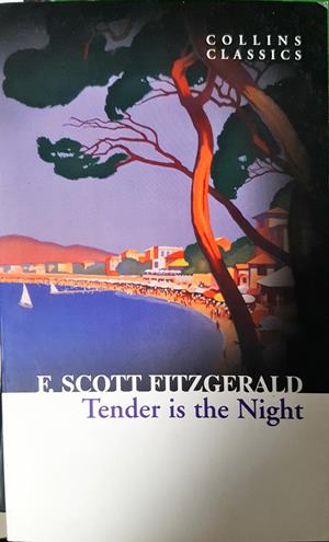 Tender is the Night - F. Scott Fitzgerald