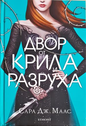 Двор от крила и разруха (3252)