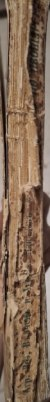 Ръководство по овощарство (1170)