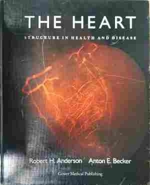 The Heart - Anderson, Becker