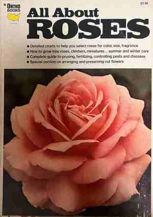 All About Roses - Cynthia Norman
