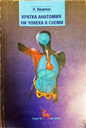 Кратка анатомия на човека в схеми - корица