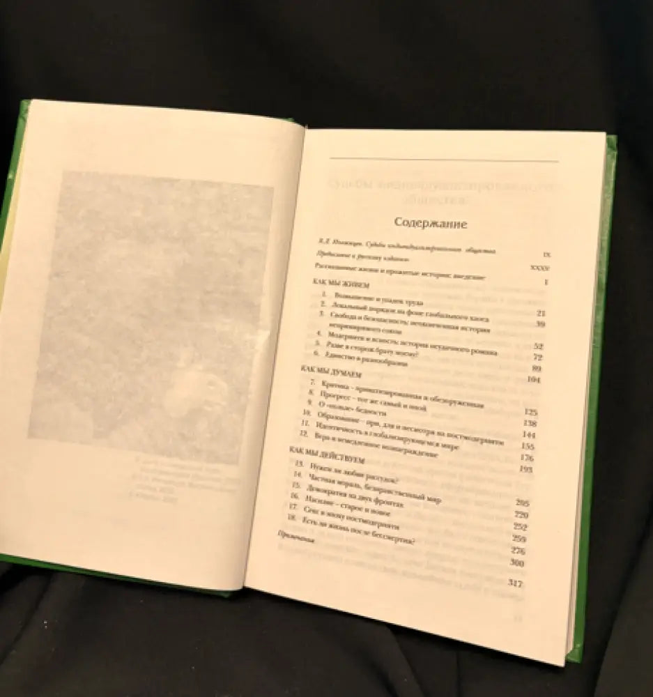 Индивидуализированное общество - Книга