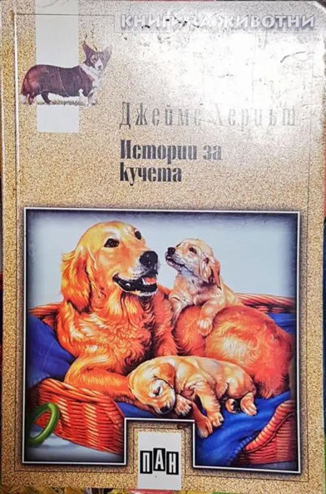 Истории за кучета - Книги