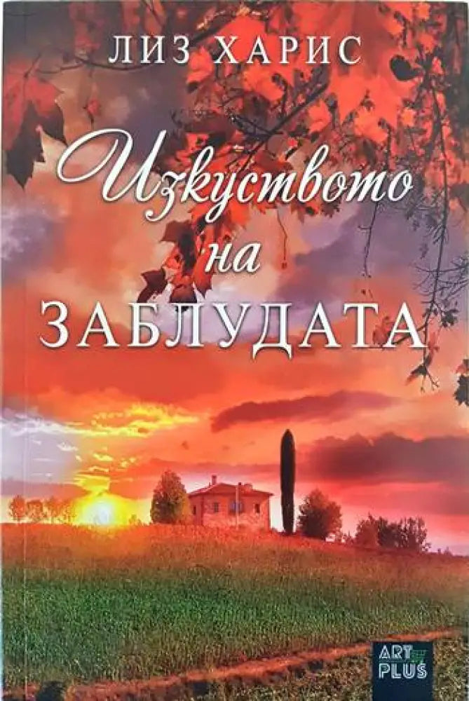 Изкуството на заблудата (2543) - Книга