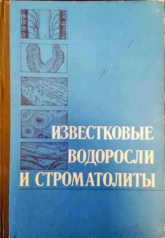 Известковые водоросли и строматолиты - Книги