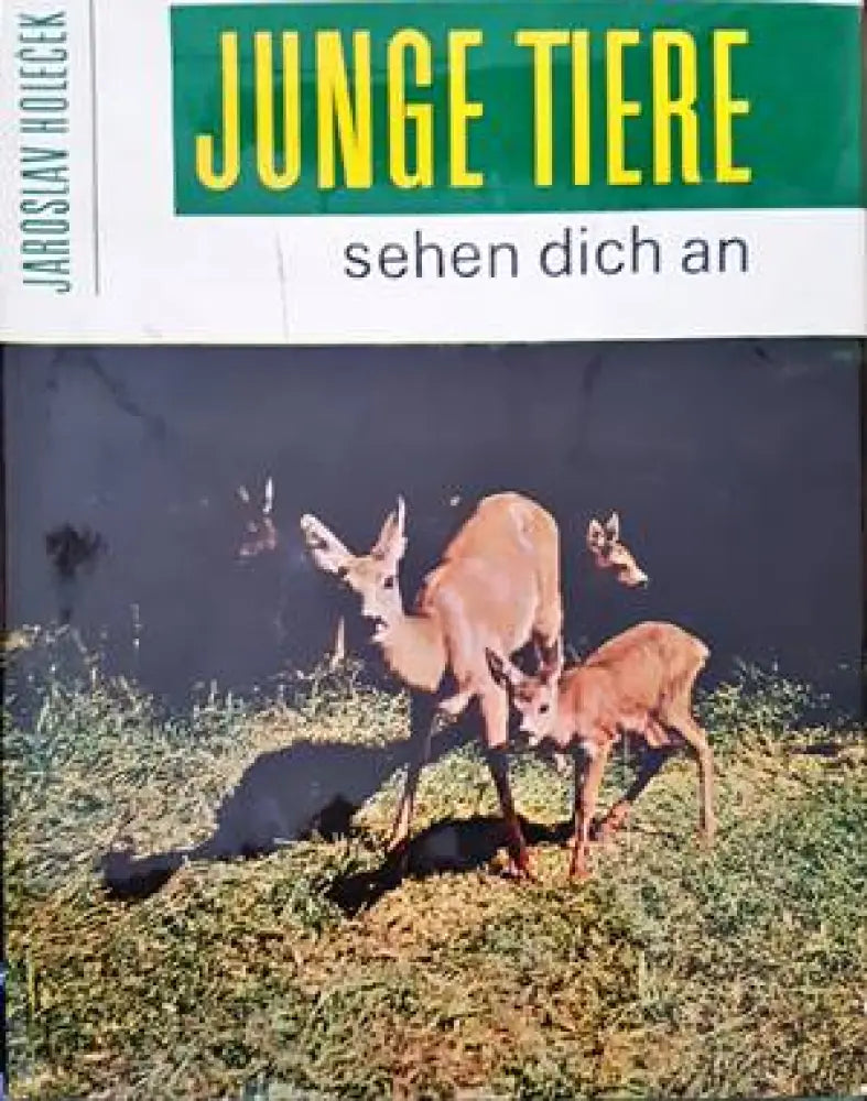 Junge tiere sehen dich an - Книги