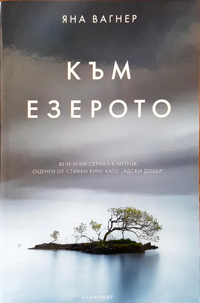 Към езерото - Книги