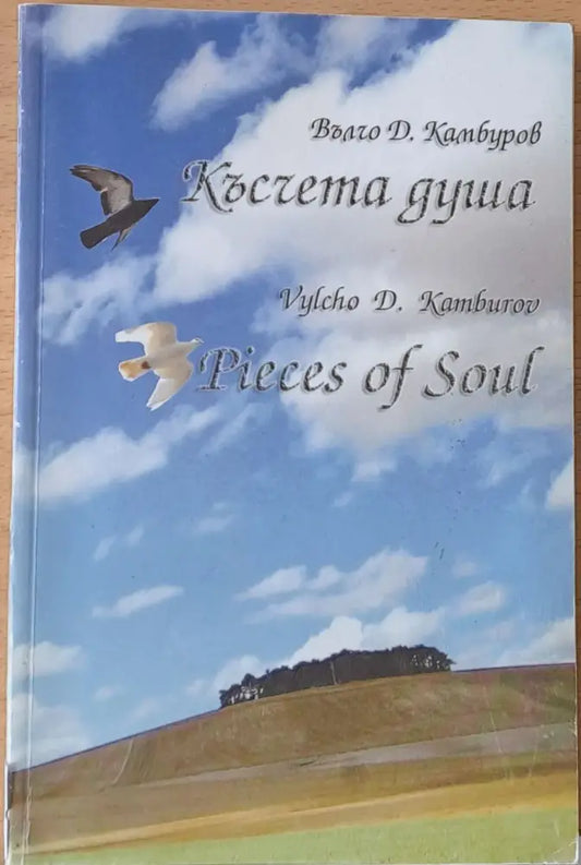 Късчета душа - Книги