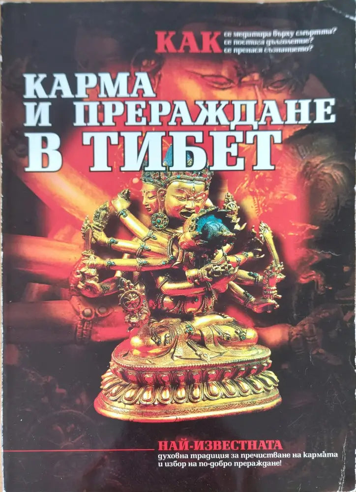 Карма и прераждане в Тибет (789) - Книга