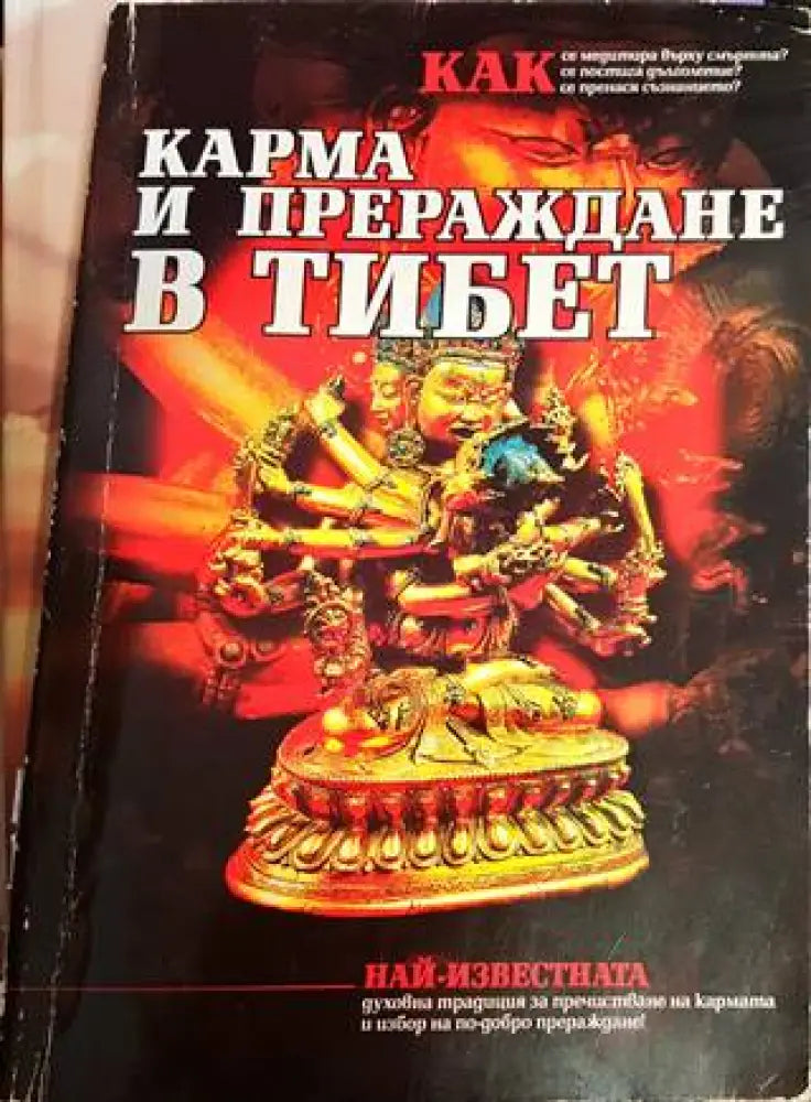 Карма и прераждане в Тибет - Книги