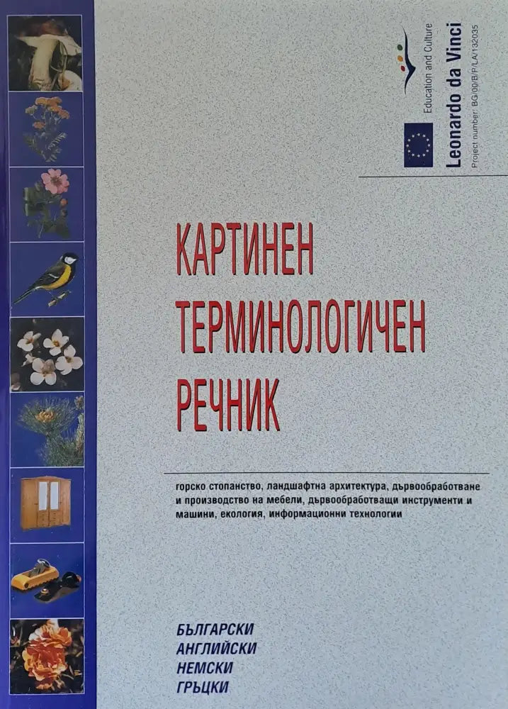 Картинен терминологичен речник: български английски немски гръцки - Книги
