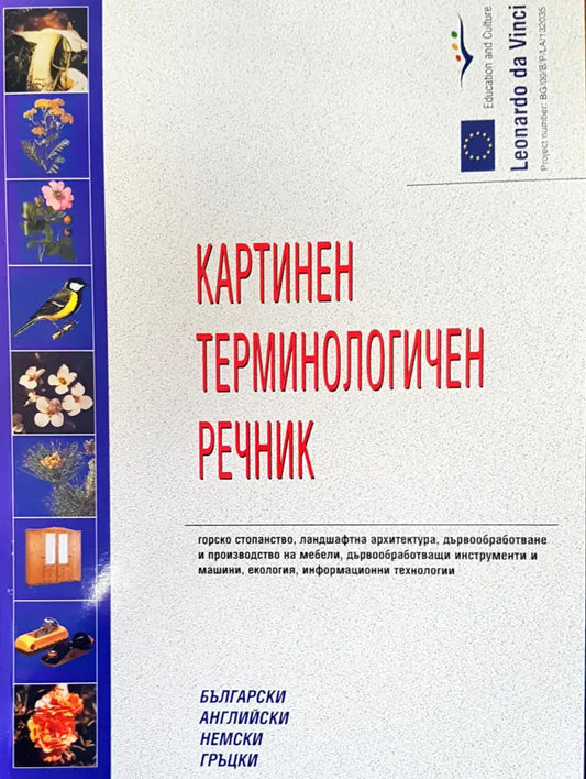 Картинен терминологичен речник - Книги