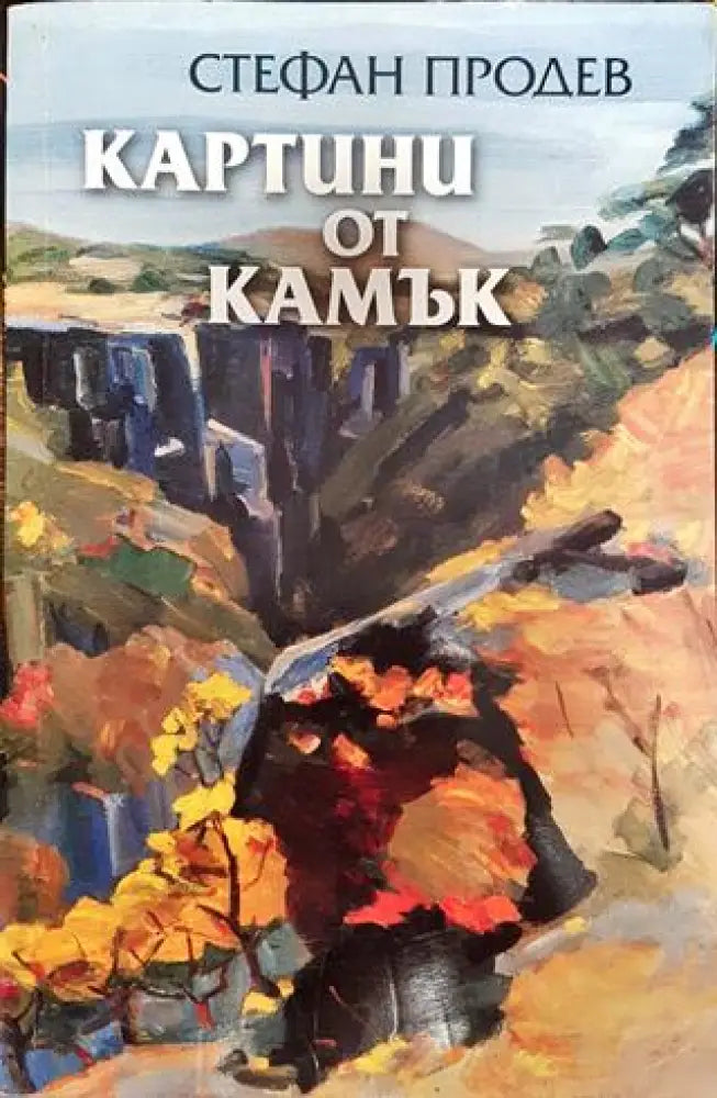 Картини от камък - Книги
