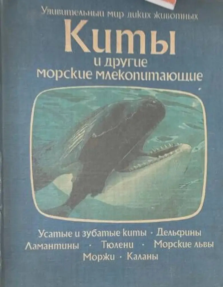 Киты и другие морские млекопитающие - Книги