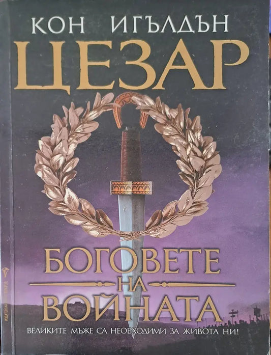 Книга за саладин - Книги