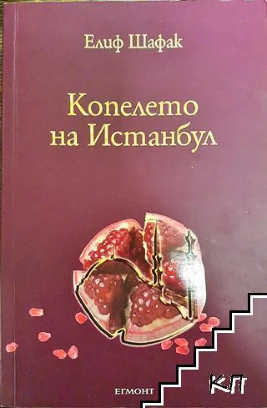 Копелето на Истанбул - Книга