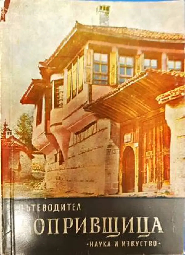 Копривщица. Пътеводител - Книги