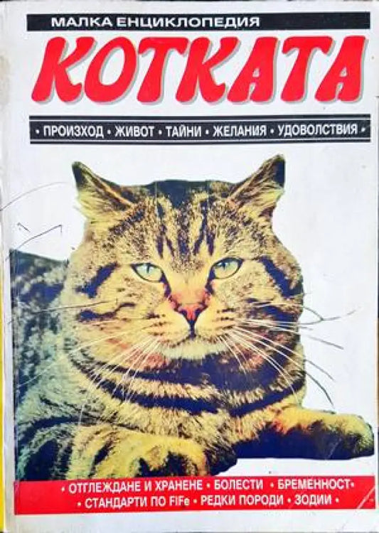 Котката - Книги