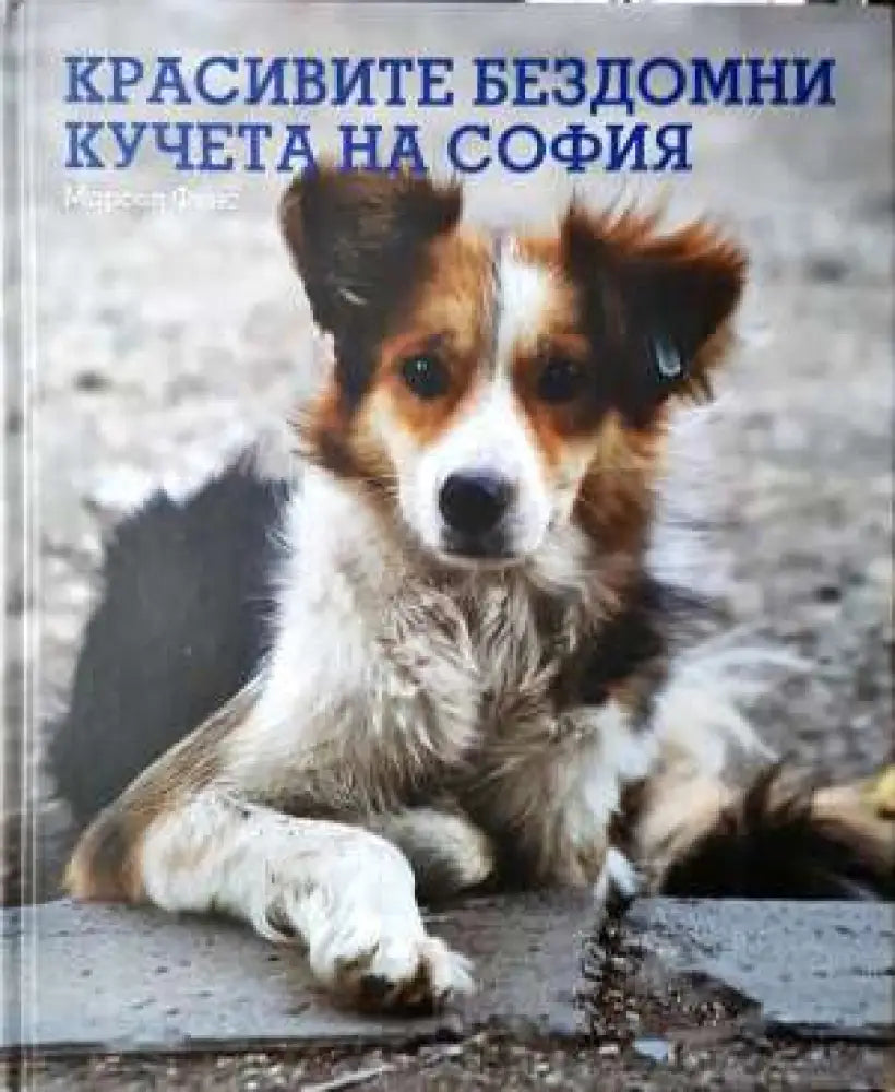 Красивите бездомни кучета на София - Фотоалбум - Книга