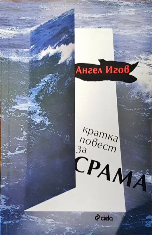 Кратка повест за срама - Книги
