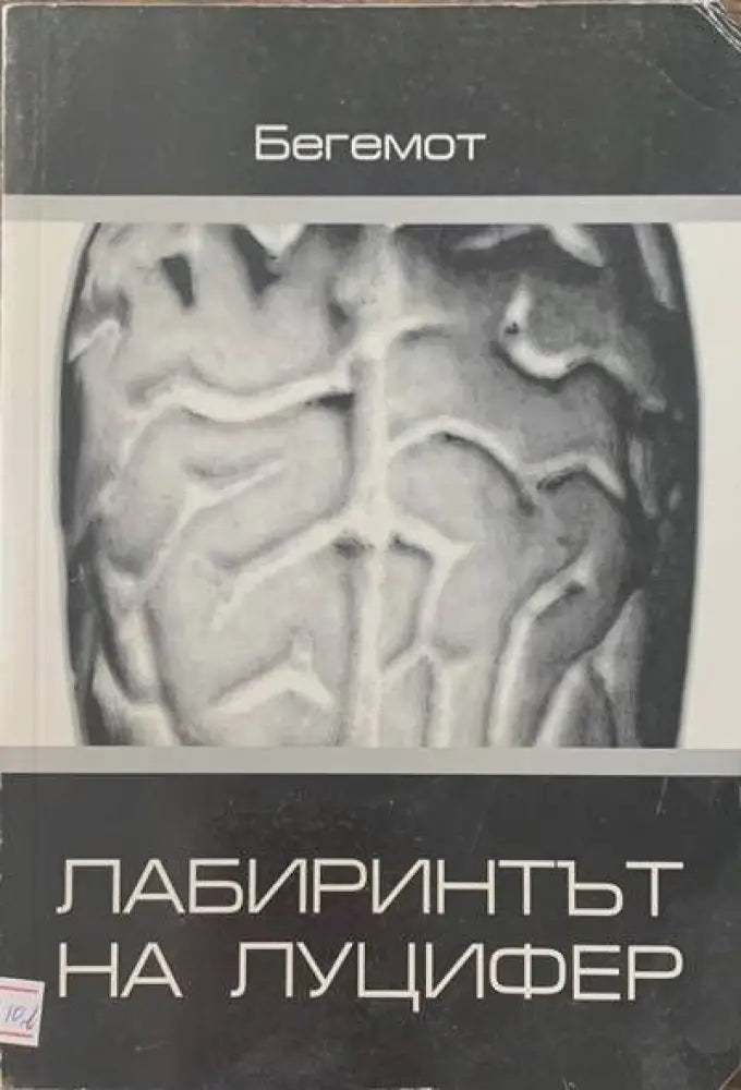 Лабиринтът на Луцифер - Книги