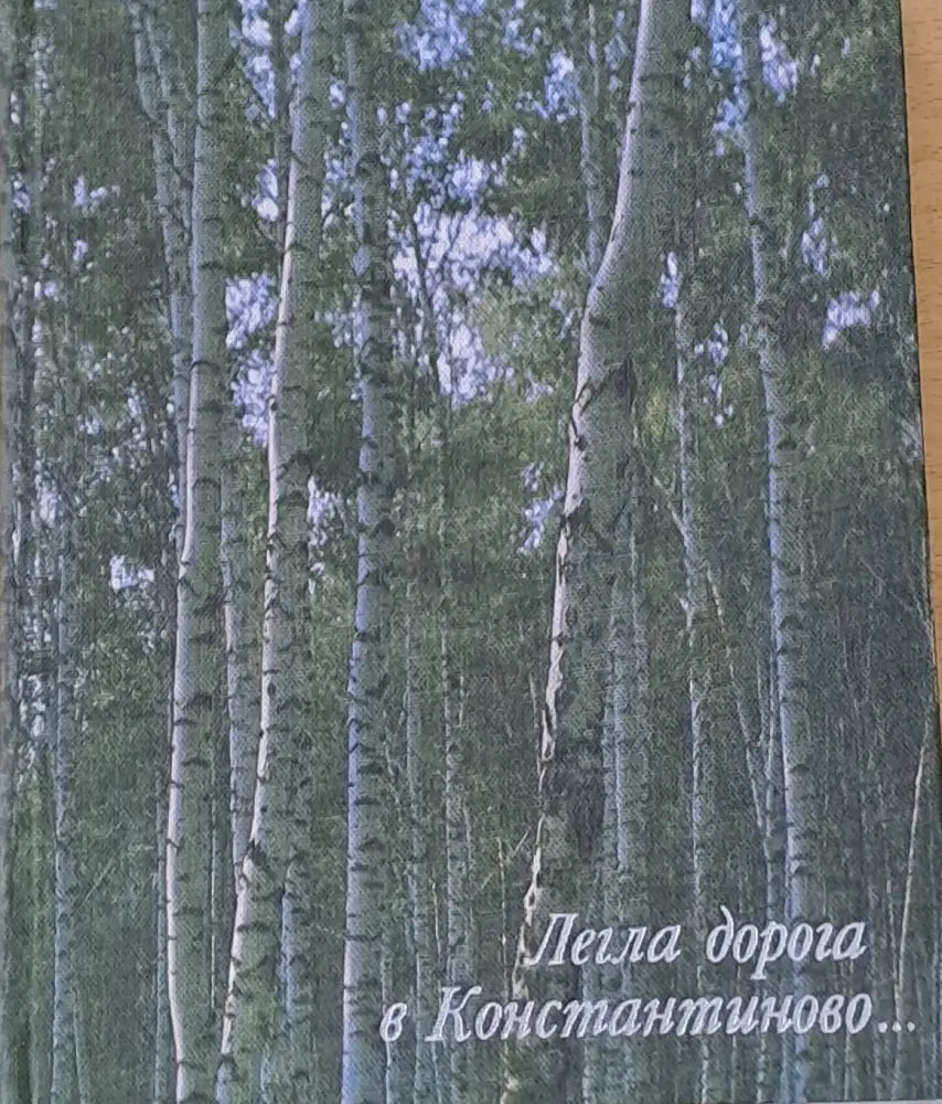Легла дорога в Константиново... - Книги