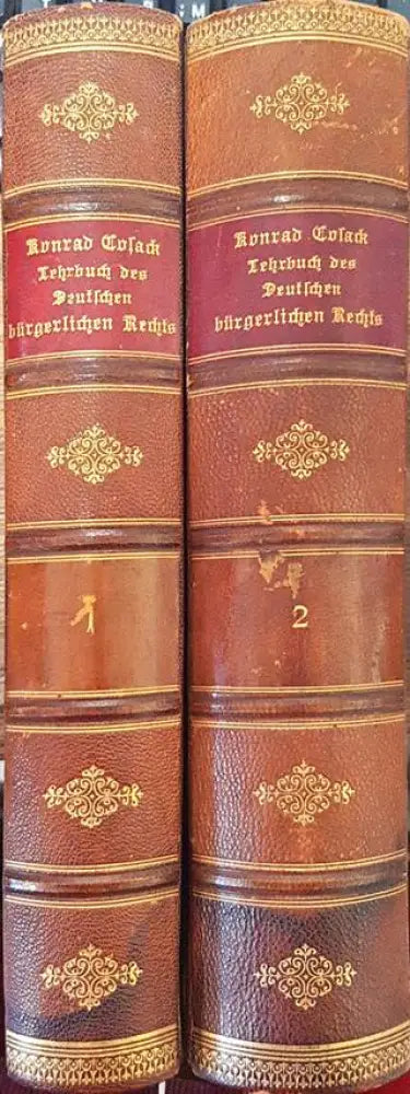 Lehrbuch des Deutschen bürgerlichen Rechts. Band 1 und 2 (1096) - Книга