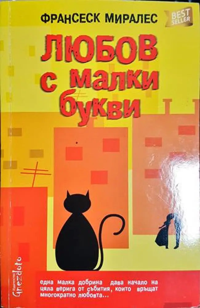 Любов с малки букви - Книга