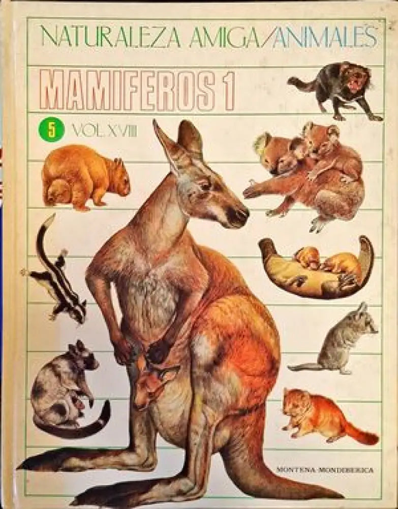 Mamiferos 1 - Книги