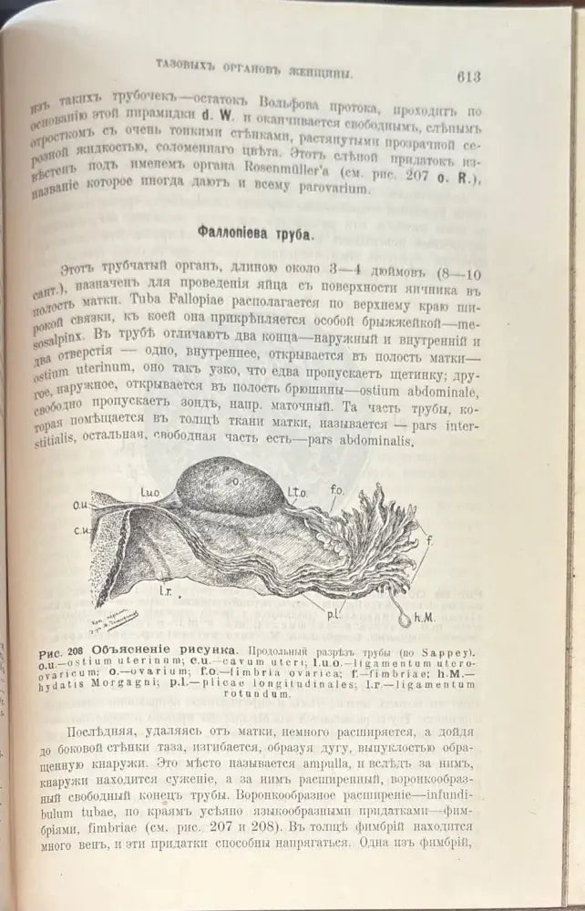 Mаточныя кровотечения. 4-е издание - Книги