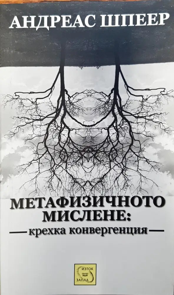 Метафизичното мислене: крехка конвергенция - Книги